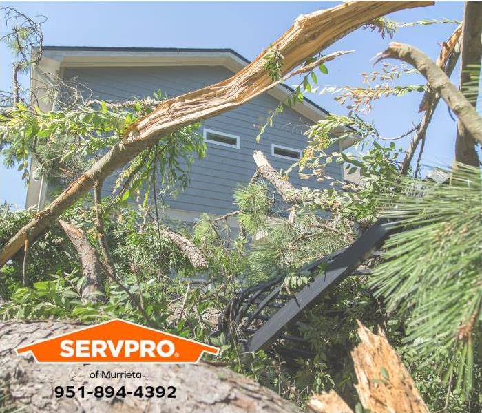 A large fallen tree causes damage to a property.